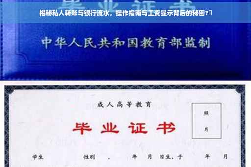 揭秘私人转账与银行流水，操作指南与工资显示背后的秘密?✨