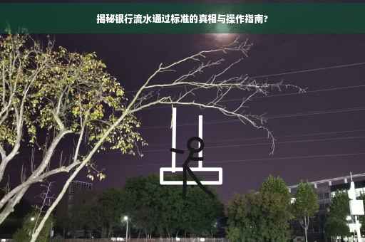 揭秘银行流水通过标准的真相与操作指南?