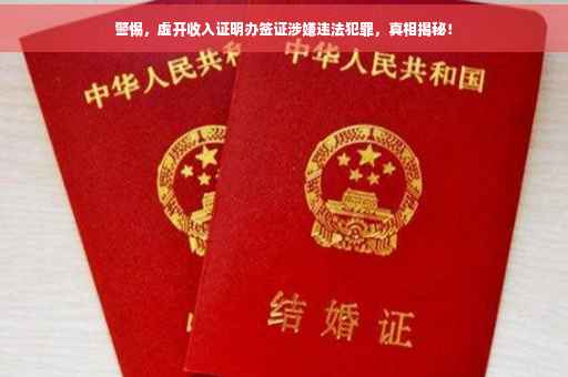 警惕，虚开收入证明办签证涉嫌违法犯罪，真相揭秘！