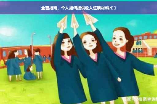 全面指南，个人如何提供收入证明材料?⚡️