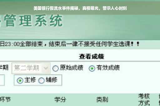美国银行假流水事件揭秘，真相曝光，警示人心时刻