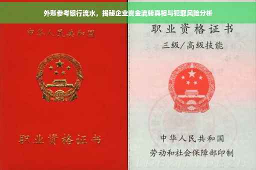 外账参考银行流水，揭秘企业资金流转真相与犯罪风险分析