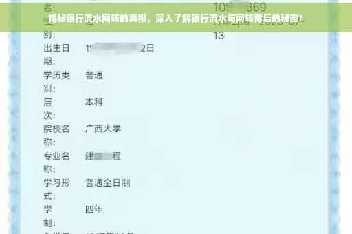 揭秘银行流水网转的真相，深入了解银行流水与网转背后的秘密?