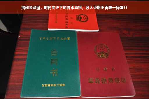 揭秘金融圈，时代变迁下的流水真相，收入证明不再唯一标准??