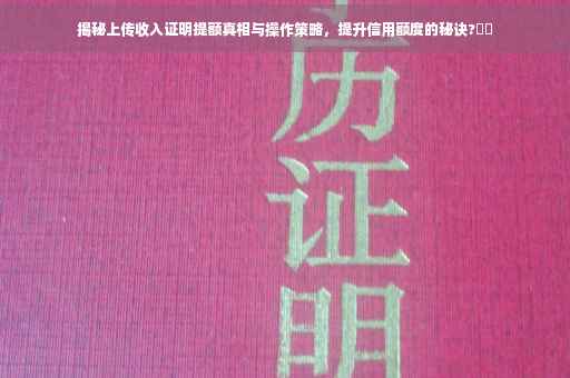 揭秘上传收入证明提额真相与操作策略，提升信用额度的秘诀?⚡️