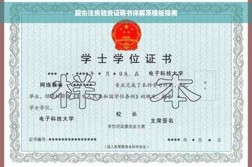 股东注资验资证明书详解及模板指南