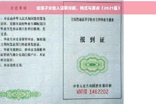 低保子女收入证明详解，格式与要点（2021版）