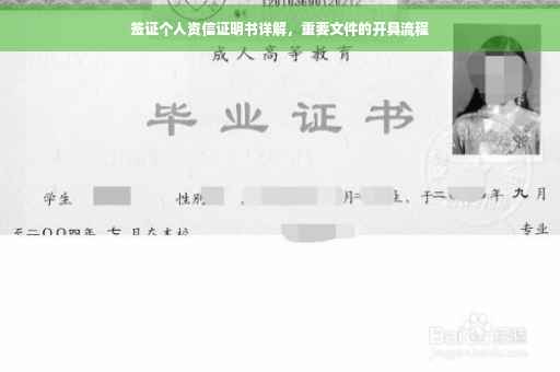 签证个人资信证明书详解，重要文件的开具流程