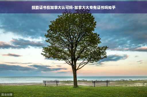 技能证书在加拿大认可吗-加拿大大专有证书吗知乎