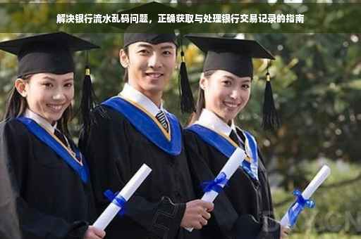 解决银行流水乱码问题，正确获取与处理银行交易记录的指南