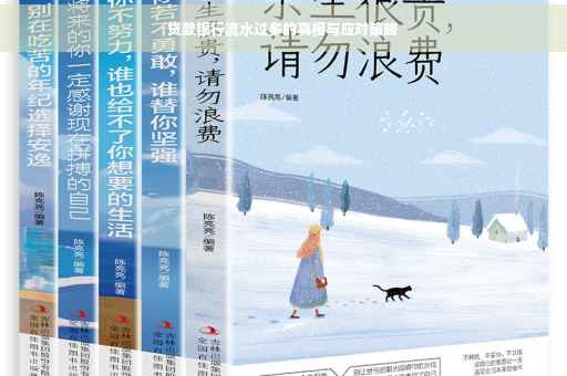贷款银行流水过多的真相与应对策略