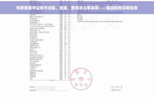 殡葬费医学证明书详解，流程、费用及注意事项——医院殡葬证明指南