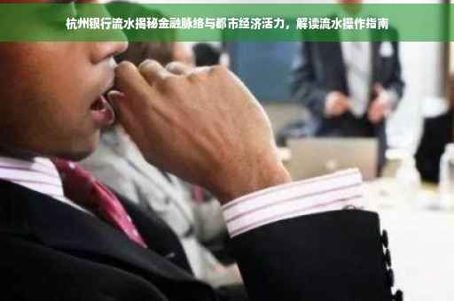 杭州银行流水揭秘金融脉络与都市经济活力，解读流水操作指南