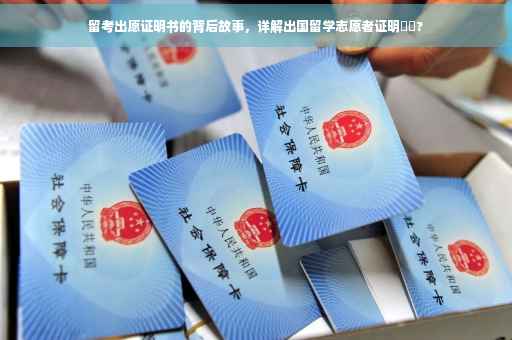 留考出愿证明书的背后故事，详解出国留学志愿者证明⚡️?