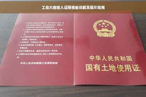 工会大病收入证明模板详解及图片指南