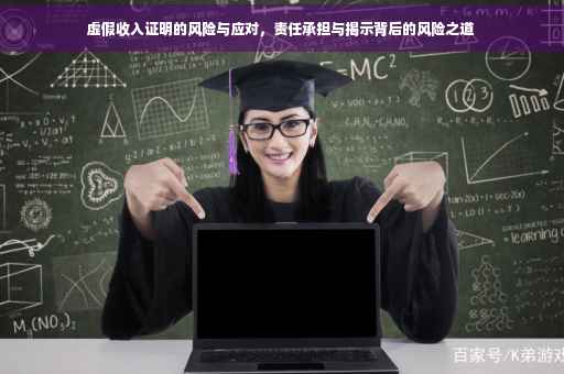 虚假收入证明的风险与应对，责任承担与揭示背后的风险之道