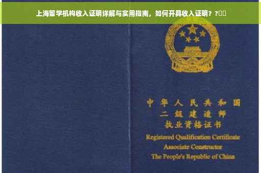 上海留学机构收入证明详解与实用指南，如何开具收入证明？?⚡️