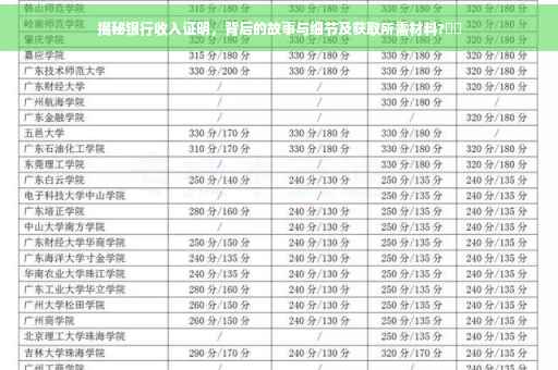 揭秘银行收入证明，背后的故事与细节及获取所需材料?⚡️