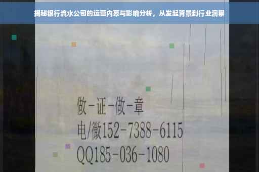 揭秘银行流水公司的运营内幕与影响分析，从发起背景到行业洞察