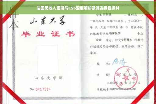 法国无收入证明与CSS深度解析及其实用性探讨