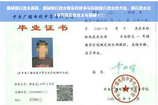 揭秘银行流水真相，揭秘银行流水背后的故事与玩转银行流水的方法，银行流水达3千万背后的含义与揭秘 ?⚡️