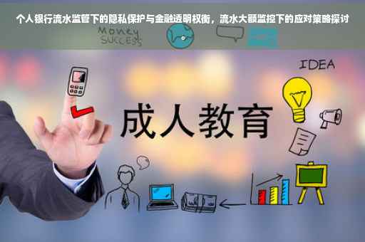 个人银行流水监管下的隐私保护与金融透明权衡，流水大额监控下的应对策略探讨。