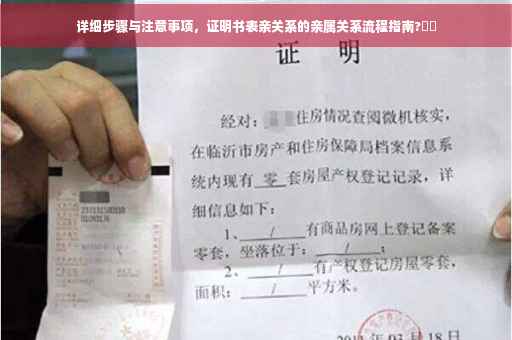 详细步骤与注意事项，证明书表亲关系的亲属关系流程指南?⚡️
