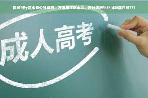 揭秘银行流水查公款真相，方法与注意事项，涉及违法犯罪问题需注意???
