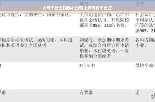 大专毕业证书图片上海(上海专科毕业证)