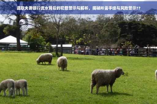 调取夫妻银行流水背后的犯罪警示与解析，揭秘所需手续与风险警示??