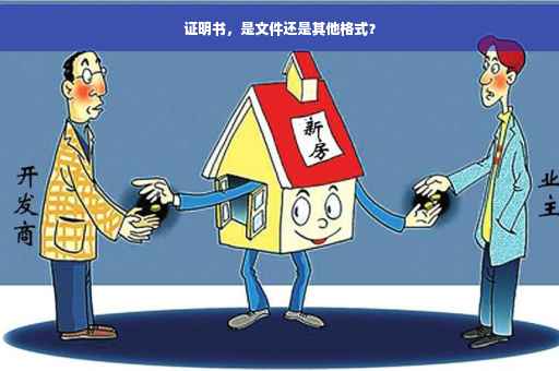证明书，是文件还是其他格式？