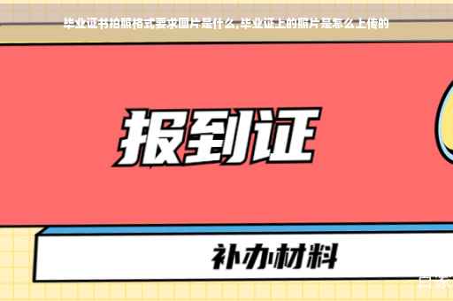 毕业证书拍照格式要求图片是什么,毕业证上的照片是怎么上传的