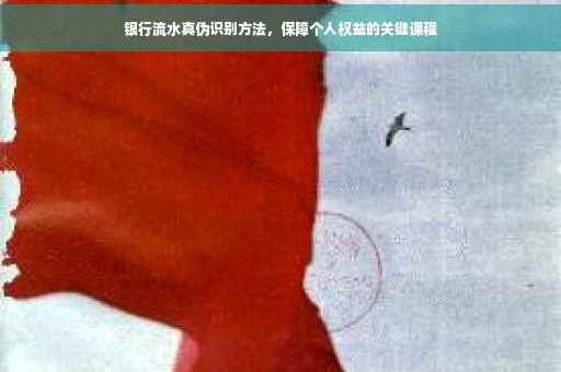 银行流水真伪识别方法，保障个人权益的关键课程
