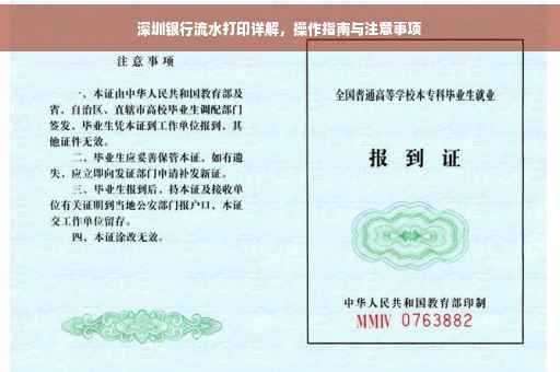深圳银行流水打印详解，操作指南与注意事项