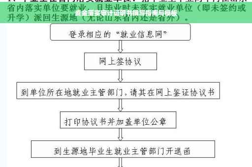 资金落实审计证明书撰写指南与模板
