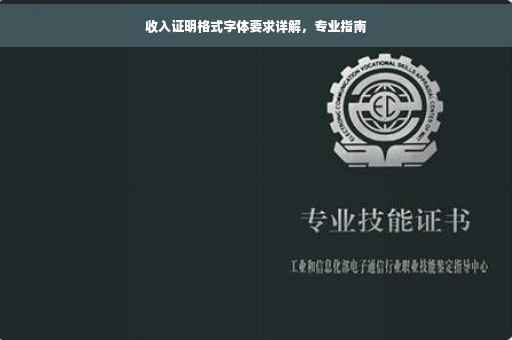 收入证明格式字体要求详解，专业指南