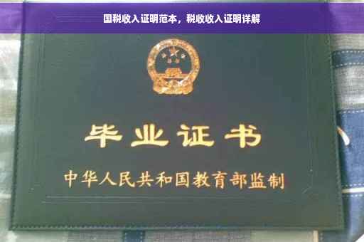 国税收入证明范本，税收收入证明详解