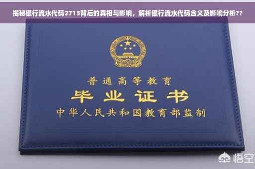 揭秘银行流水代码2713背后的真相与影响，解析银行流水代码含义及影响分析??