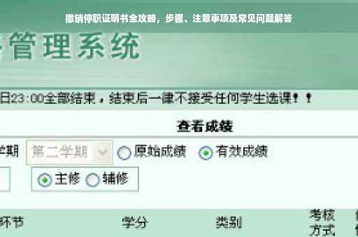 撤销停职证明书全攻略，步骤、注意事项及常见问题解答