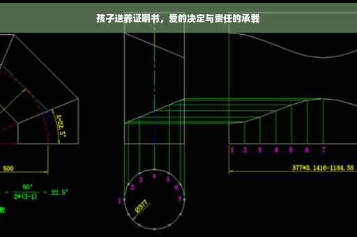 孩子送养证明书，爱的决定与责任的承载
