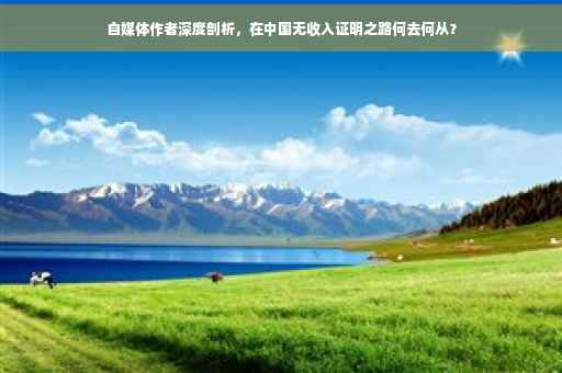 自媒体作者深度剖析，在中国无收入证明之路何去何从？