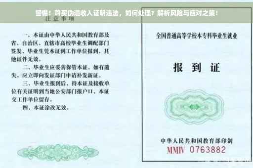 警惕！购买伪造收入证明违法，如何处理？解析风险与应对之策！