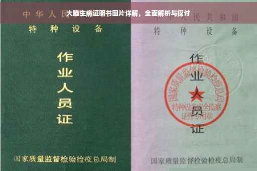 大脑生病证明书图片详解，全面解析与探讨