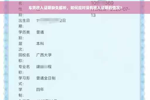车贷收入证明缺失解析，如何应对没有收入证明的情况？