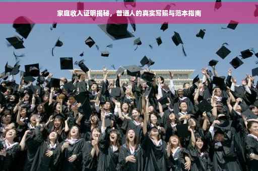 家庭收入证明揭秘，普通人的真实写照与范本指南
