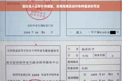 空白收入证明补充模板，实用指南及应对各种需求的写法