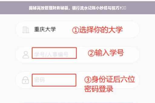 揭秘高效管理财务秘籍，银行流水记账小妙招与技巧?⚡️