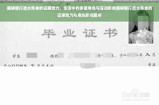 揭秘银行流水账单的证据效力，生活中的多重角色与深远影响揭秘银行流水账单的证据效力与角色影响解析