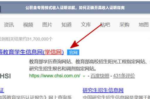 公积金专用格式收入证明详解，如何正确开具收入证明指南