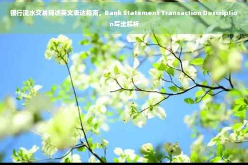 银行流水交易描述英文表达指南，Bank Statement Transaction Description写法解析
